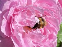 Woodlands Historic Estate & Gardens – Gordonton (Hamilton)