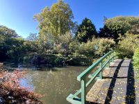 Woodlands Historic Estate & Gardens – Gordonton (Hamilton)