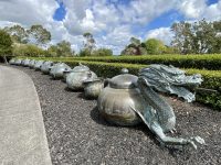 Zealong Tea Estate Teapot Train Dragon