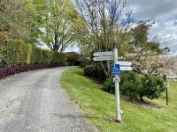 Zealong Tea Room Road Sign